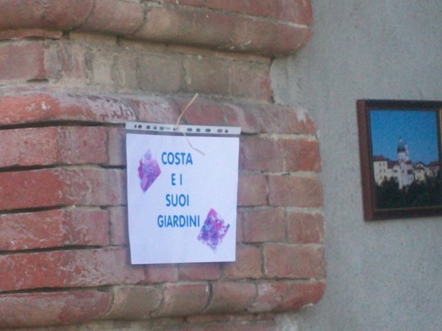 primirisultati24.jpg