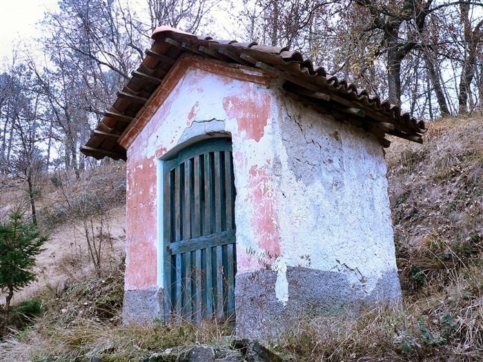 p1130633.jpg
